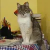 Отзыв от Галя Селезнева